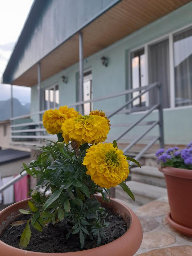 Kera Guest House Kazbegi Exterior foto